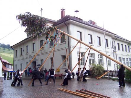 Maibaum